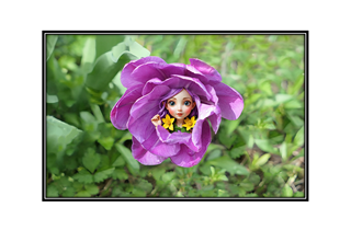 garden flower fairy
